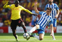 Nhận định bóng đá Brighton vs Watford, Ngoại hạng Anh