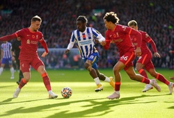 Nhận định, soi kèo Liverpool vs Brighton: Chiến thắng nhẹ nhàng