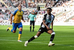 Nhận định, soi kèo Newcastle vs Southampton: Số phận an bài