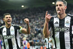 Nhận định bóng đá Newcastle vs Ipswich: Cơ hội cho Chích chòe