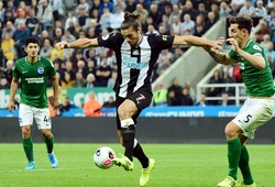 Nhận định Newcastle vs Brighton, 20h00 ngày 20/09, Ngoại hạng Anh