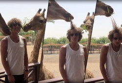 Khám phá trò tiêu khiển của các ngôi sao Chelsea lúc rảnh rỗi