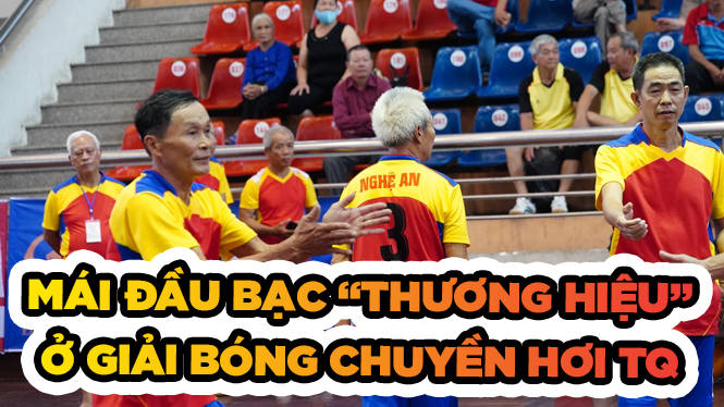 Mái đầu bạc Mái đầu bạc