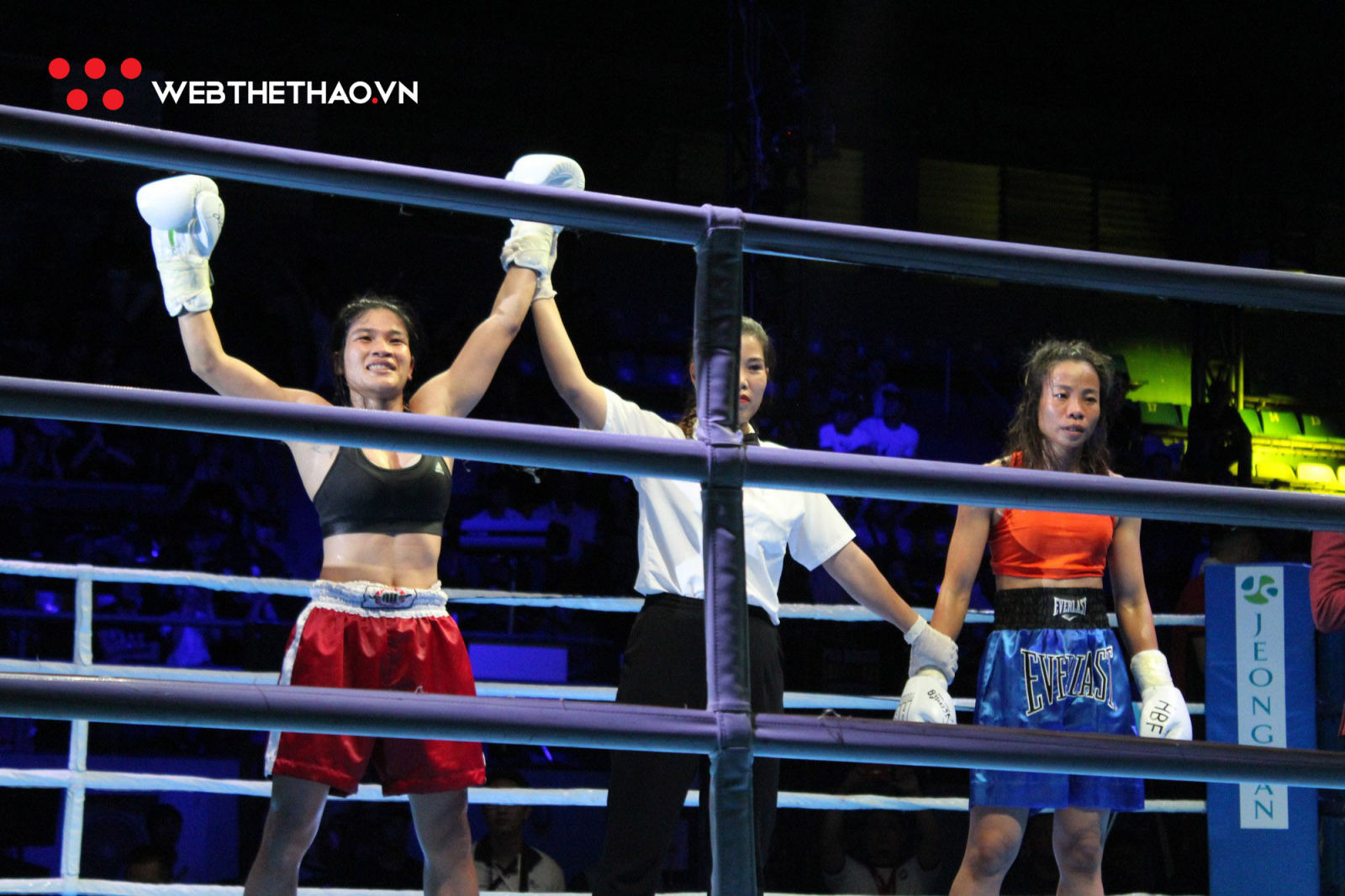 Sự ra đời kỳ lạ của Li&ecirc;n đo&agrave;n Boxing TPHCM