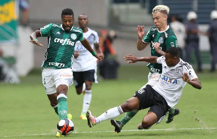 Kết quả Palmeiras vs Tigres, video highlight cúp C1 Nam Mỹ 2020 hôm nay