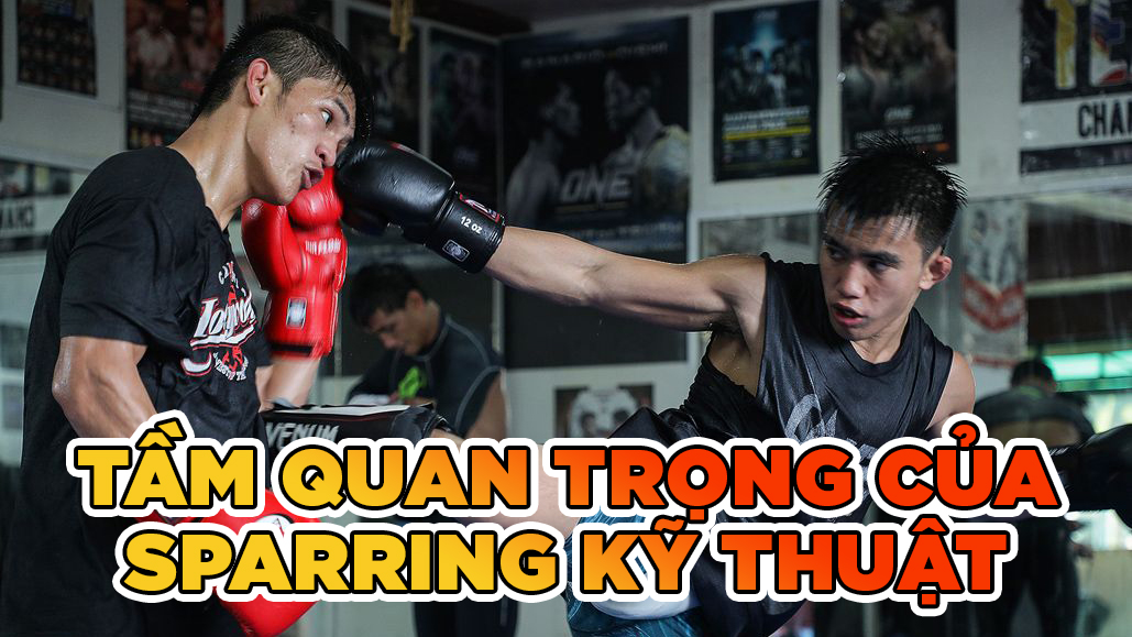 Tầm quan trọng của Sparring kỹ thuật mà võ sĩ cần phải biết