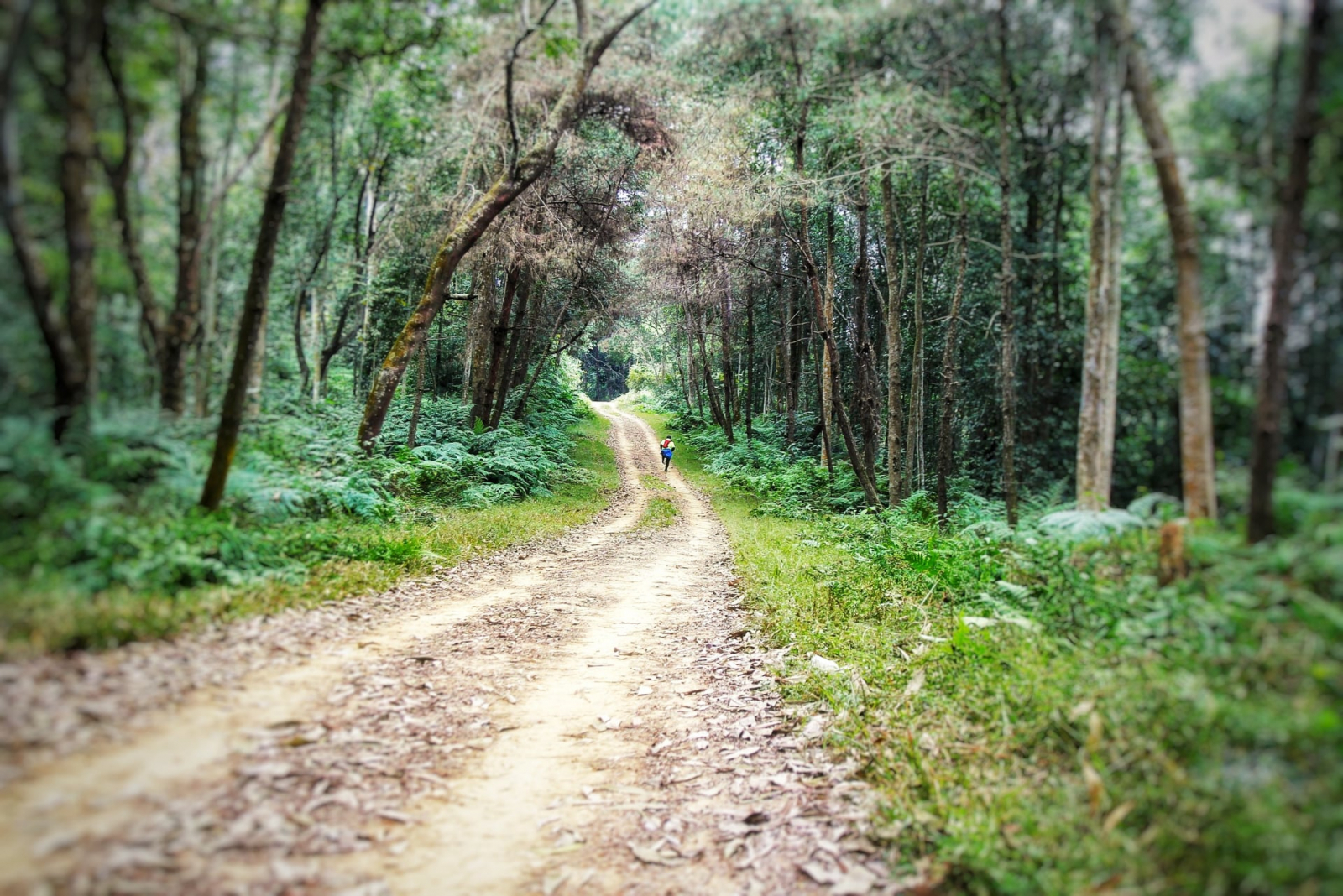 Giải chạy vượt núi Đền Thượng Marathon 2021 “khai chân” mừng xuân Tân Sửu