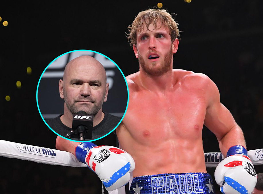Em đấm, anh xoa, Logan Paul chủ động xin lỗi Dana White sau lời xúc phạm của em trai