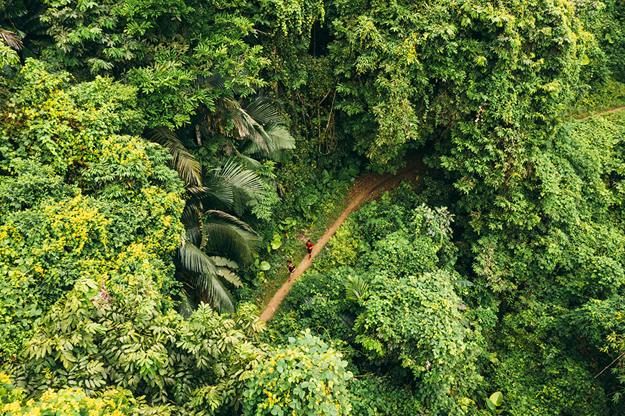 Chạy trên cung đường tuyệt đẹp của giải siêu địa hình Ba Bể Jungle Marathon