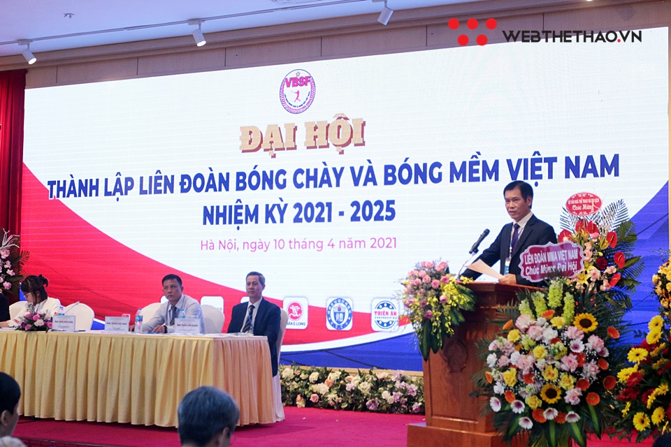 Liên đoàn Bóng chày và Bóng mềm Việt Nam chính thức ra mắt