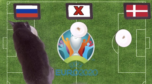 Mèo tiên tri dự đoán kết quả bóng đá Nga vs Đan Mạch Mèo tiên tri dự đoán kết quả bóng đá Nga vs Đan Mạch