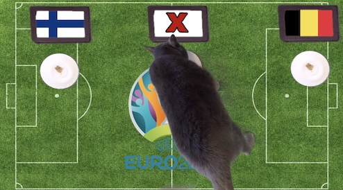 Mèo tiên tri dự đoán kết quả bóng đá Phần Lan vs Bỉ Mèo tiên tri dự đoán kết quả bóng đá Phần Lan vs Bỉ
