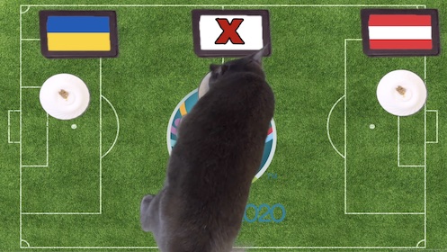 Mèo tiên tri dự đoán kết quả bóng đá Ukraine vs Áo Mèo tiên tri dự đoán kết quả bóng đá Ukraine vs Áo