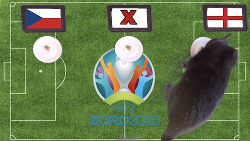 M&egrave;o ti&ecirc;n tri dự đo&aacute;n kết quả b&oacute;ng đ&aacute; CH S&eacute;c vs Anh