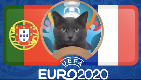 Mèo tiên tri dự đoán bóng đá EURO hôm nay 23/6: Bồ Đào Nha vs Pháp