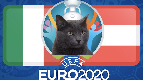Mèo tiên tri dự đoán bóng đá EURO hôm nay: Italia vs Áo