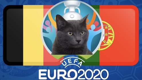 Mèo tiên tri dự đoán bóng đá EURO hôm nay 27/6: Bỉ vs Bồ Đào Nha