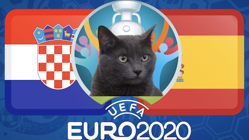 Mèo tiên tri dự đoán bóng đá EURO hôm nay 28/06: Croatia vs Tây Ban Nha