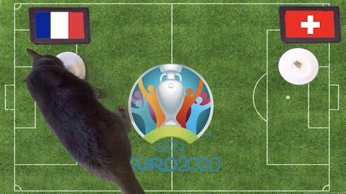 M&egrave;o ti&ecirc;n tri dự đo&aacute;n kết quả b&oacute;ng đ&aacute; Ph&aacute;p vs Thụy Sỹ