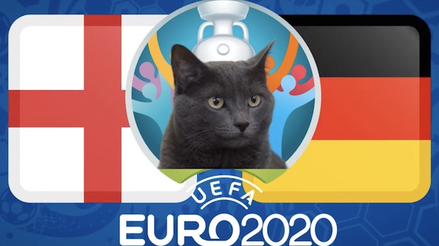 Mèo tiên tri dự đoán bóng đá EURO hôm nay 29/06: Anh vs Đức