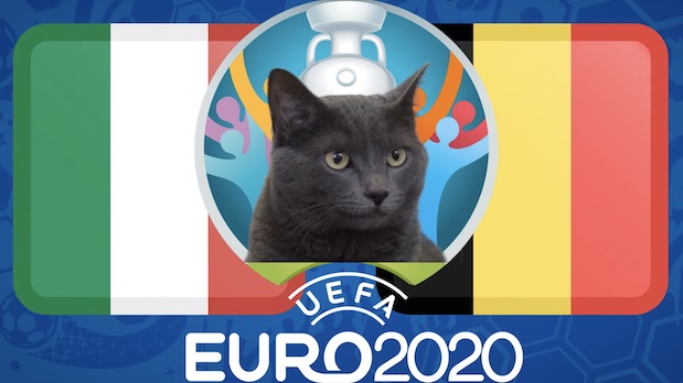 Mèo tiên tri dự đoán bóng đá EURO hôm nay 02/07: Bỉ vs Italia