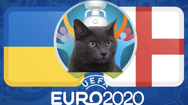 Mèo tiên tri dự đoán bóng đá EURO hôm nay 03/07: Ukraine vs Anh