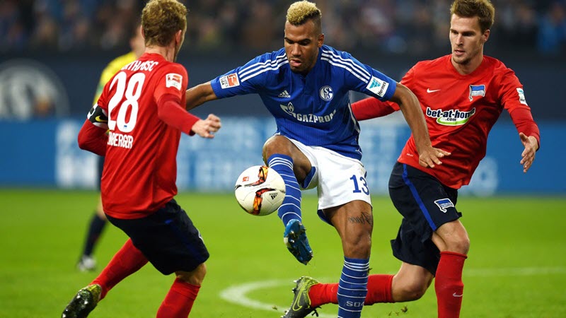 Nhận định Schalke vs Hamburger, 01h30 ngày 24/07, Giải hạng 2 Đức