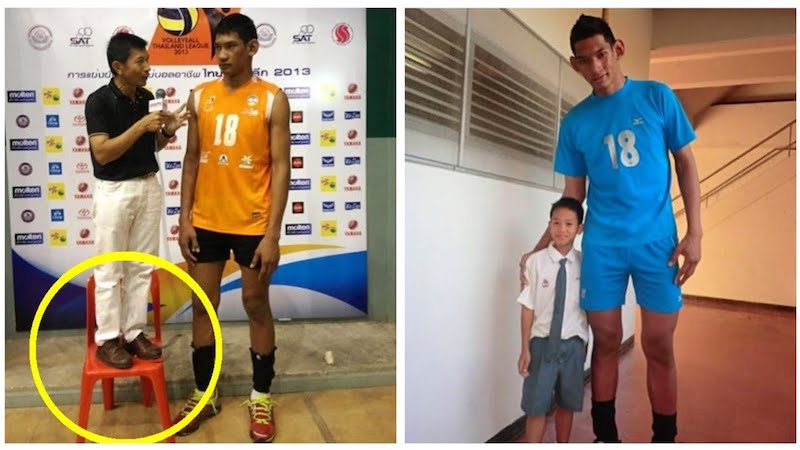 Top 5 cầu thủ bóng chuyền nam cao nhất thế giới năm 2021