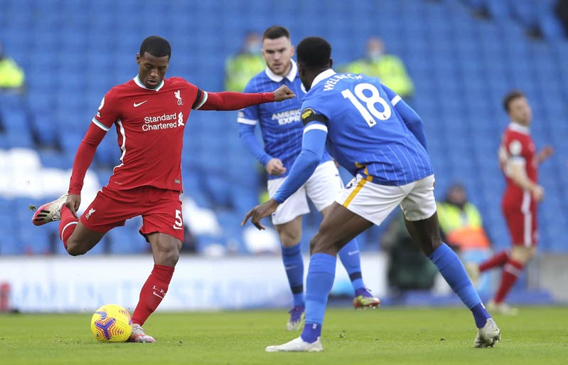 Nhận định Liverpool vs Brighton: Bắn hạ “Chim mòng biển”