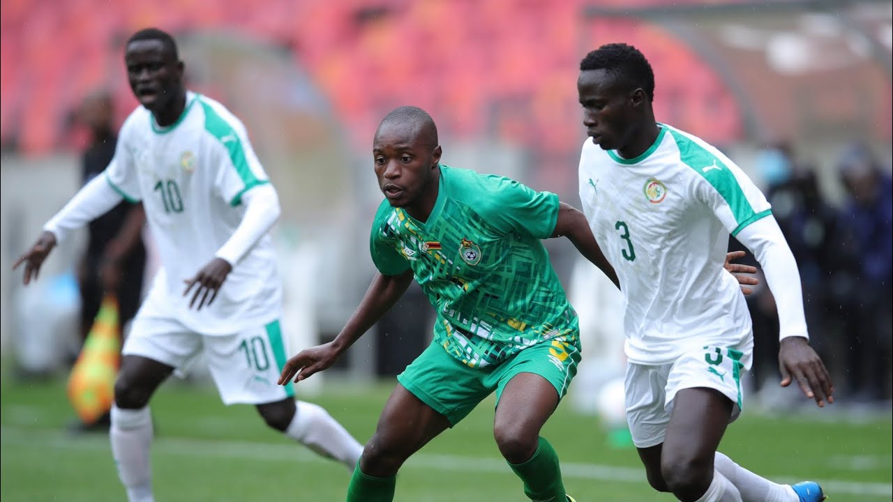 Link xem trực tiếp Senegal vs Zimbabwe, b&oacute;ng đ&aacute; CAN Cup 2022
