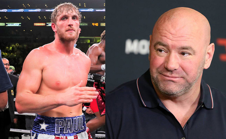"Tôi không nói từ chối": Dana White có sẵn sàng chào đón Logan Paul tới UFC?