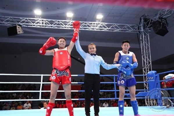 Thành tích đội tuyển Muay Việt Nam tại các kỳ SEA Games