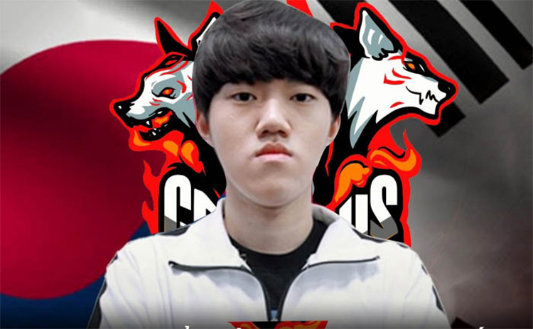 Cerberus Esports công bố ngoại binh Hàn Quốc chuẩn bị thi đấu tại VCS