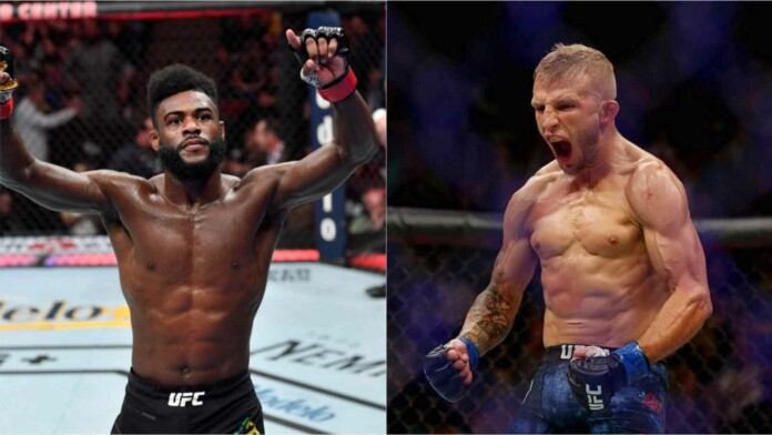 Aljamain Sterling vs. TJ Dillashaw bị đẩy qua UFC 280 vì kèo Diaz vs. Chimaev