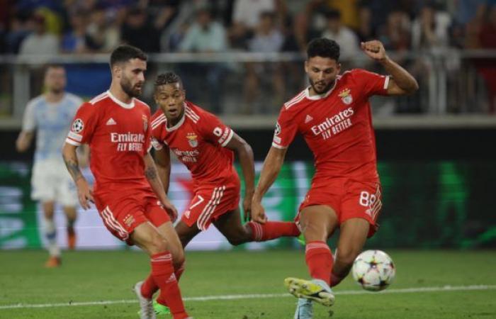 Nhận định, soi kèo Benfica vs Maccabi Haifa: Vùi dập đội khách