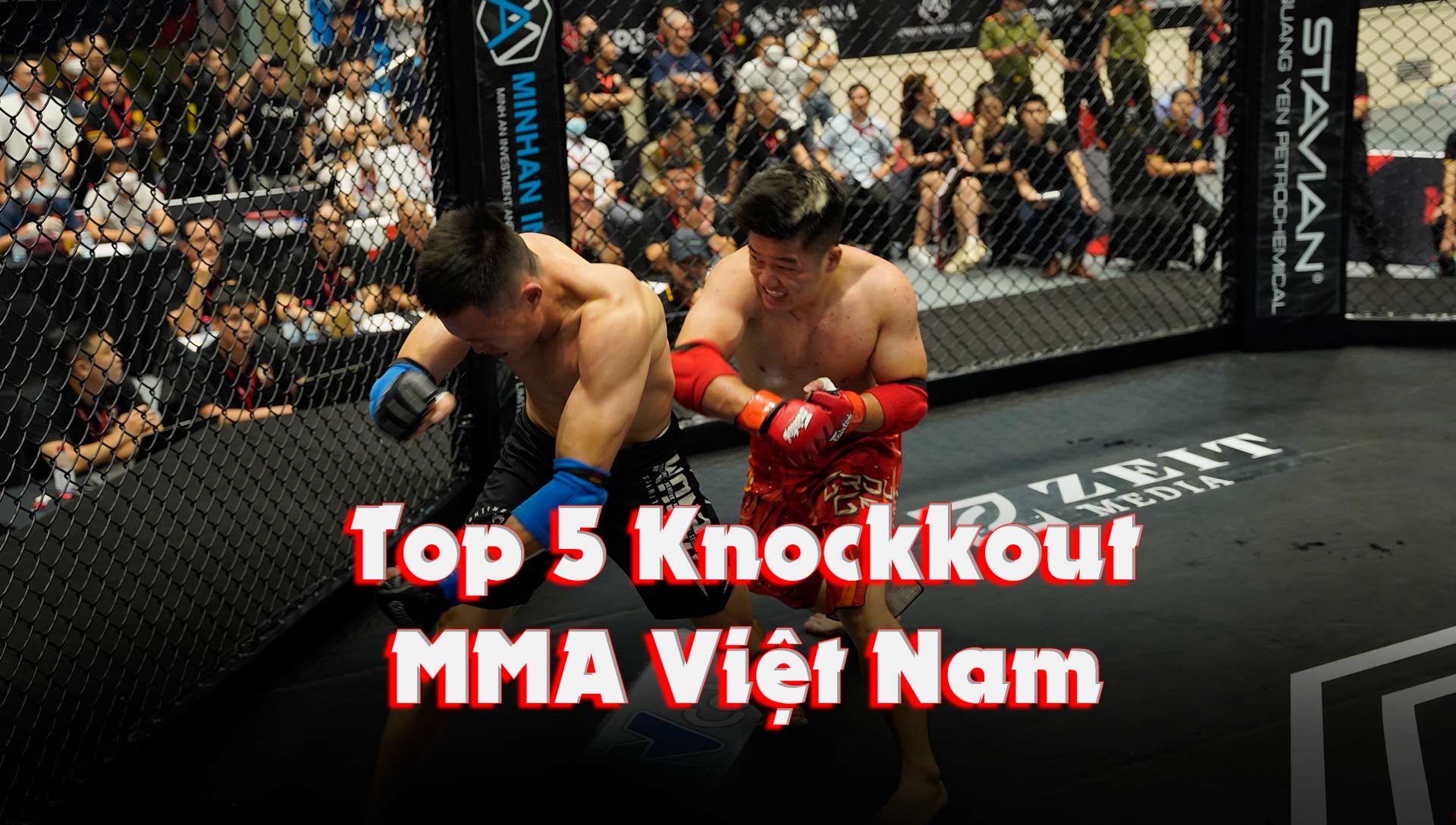 Top 5 Knockout đẹp mắt nhất MMA Việt Nam - LION Championship 2022