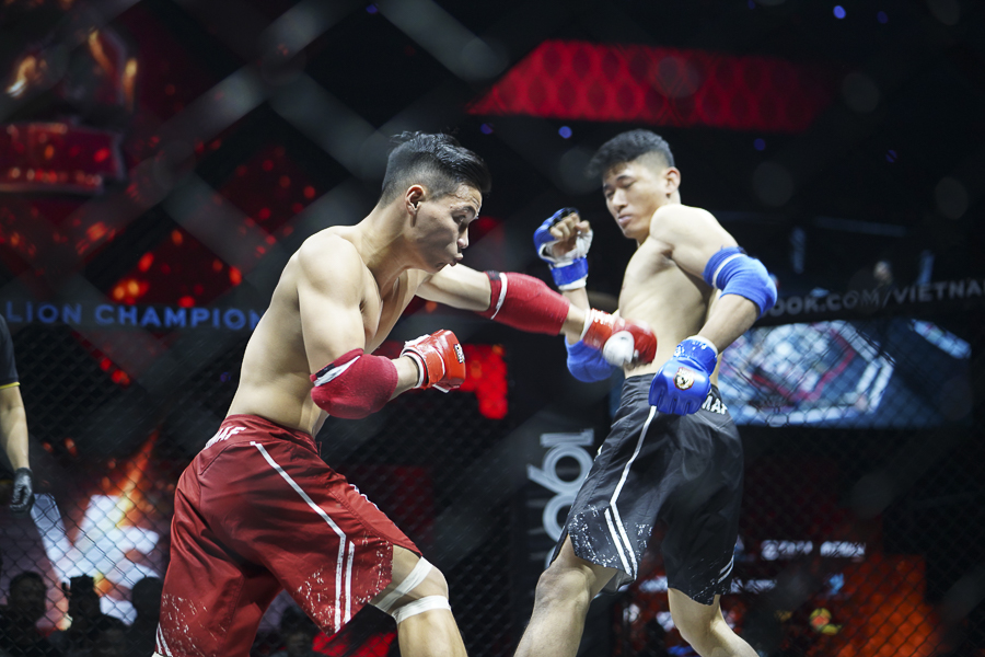 MMA Việt Nam hợp tác với giải đấu Hàn Quốc tổ chức sự kiện AFC 21