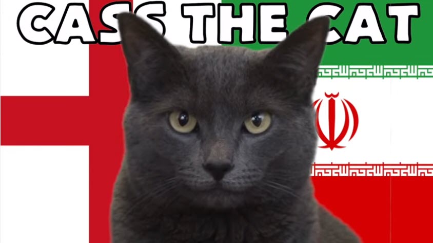 Mèo tiên tri dự đoán Anh vs Iran, 20h ngày 21/11