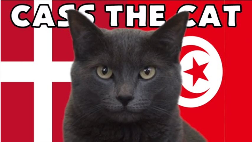 Mèo tiên tri dự đoán Đan Mạch vs Tunisia, 20h ngày 22/11