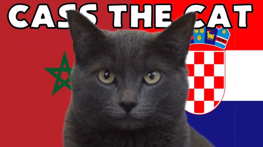 Mèo tiên tri dự đoán Ma Rốc vs Croatia, 17h ngày 23/11
