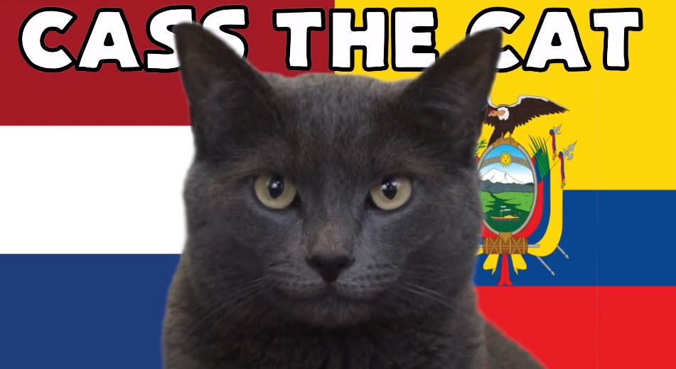 Mèo tiên tri dự đoán Hà Lan vs Ecuador