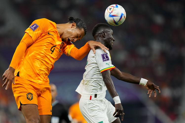 Soi kèo Hà Lan vs Ecuador: Hạ tín nhiệm cửa trên