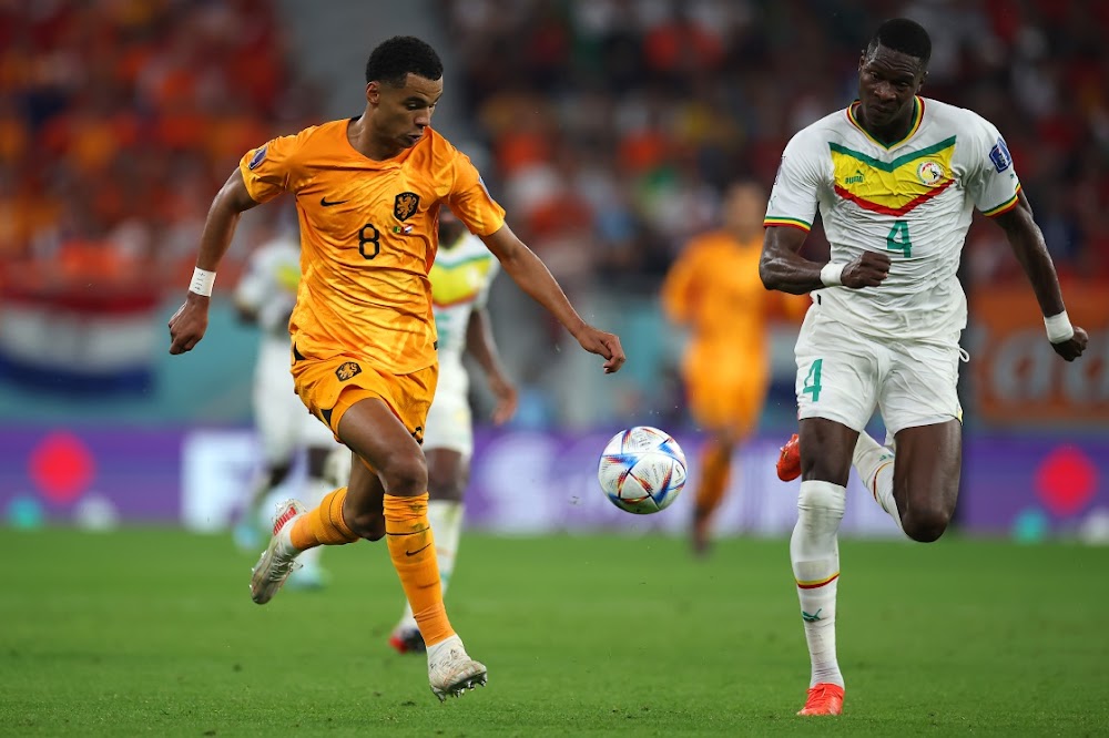 Soi kèo Hà Lan vs Qatar: Cuốn bay chủ nhà