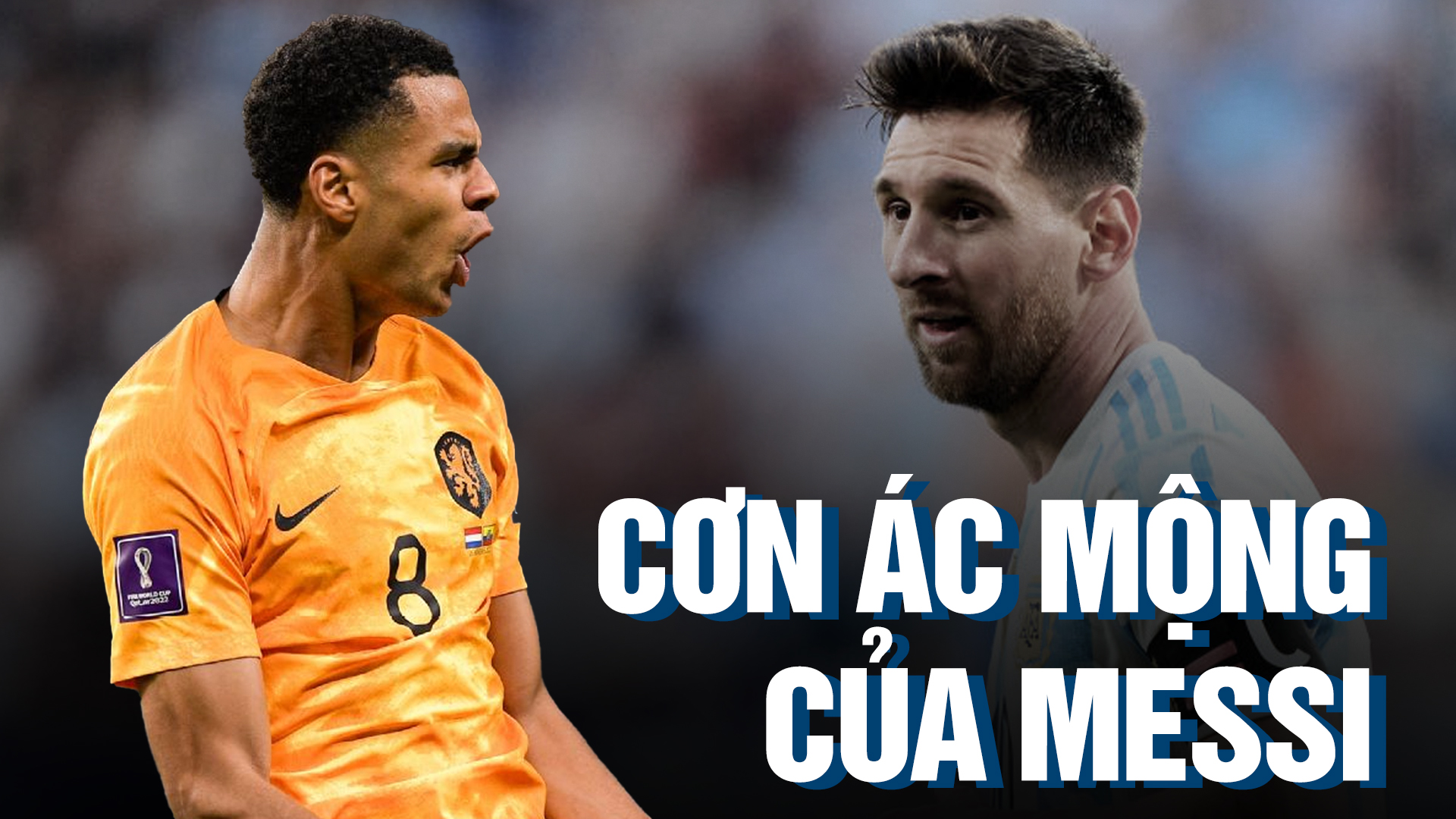Cody Gakpo sẽ gieo ác mộng cho Messi tại Vòng tứ kết World Cup 2022?