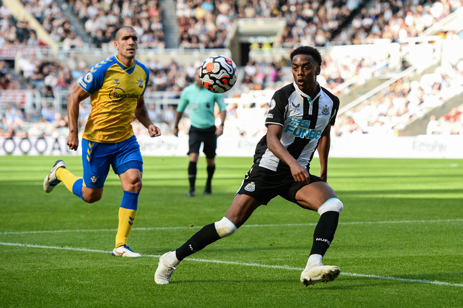 Nhận định, soi kèo Newcastle vs Southampton: Số phận an bài