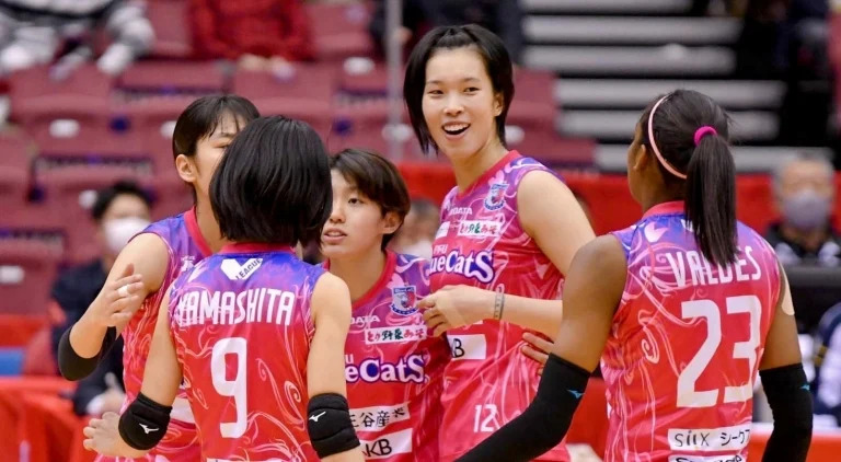 Thi đấu bế tắc, PFU BlueCats gục ngã chóng vánh trước đội số 1 V.League