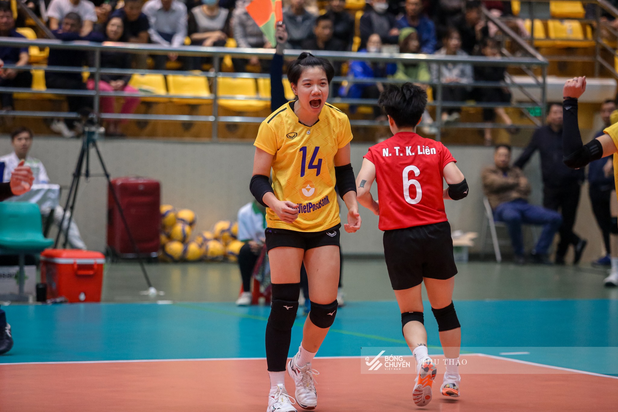 Ngoại binh bóng chuyền nữ Ninh Bình không tham dự Cúp Hùng Vương 2023 Ngoại binh bóng chuyền nữ Ninh Bình không tham dự Cúp Hùng Vương 2023