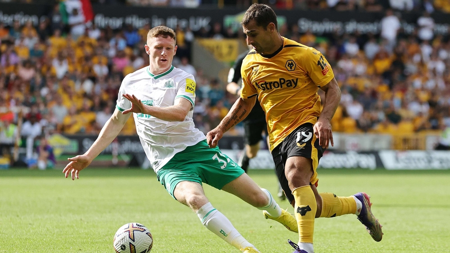 Tỷ lệ kèo trận Newcastle vs Wolves, Ngoại hạng Anh, 23h30 ngày 12/3