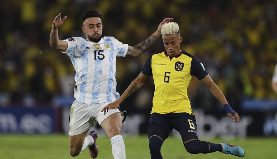 Nhận định Australia vs Ecuador: Niềm vui cho chủ nhà