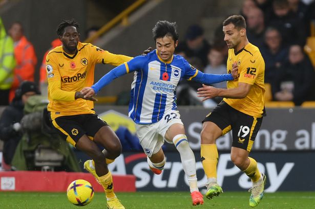 Nhận định Brighton vs Wolves: Trở lại quỹ đạo